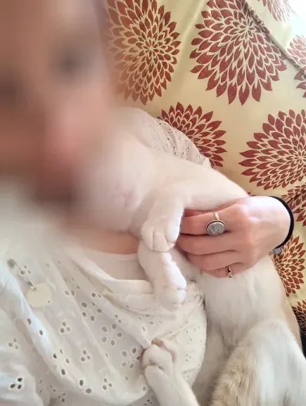 Maja, 40
